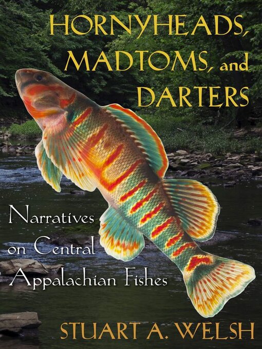 Title details for Hornyheads, Madtoms, and Darters by Stuart A. Welsh - Available